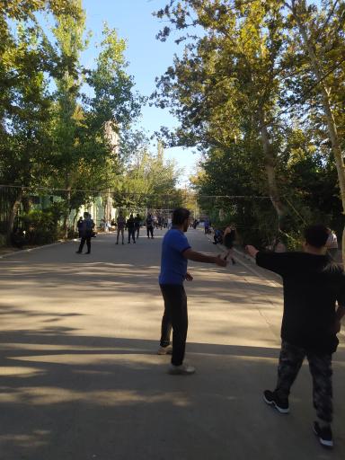 عکس زمین والیبال پارک لاله