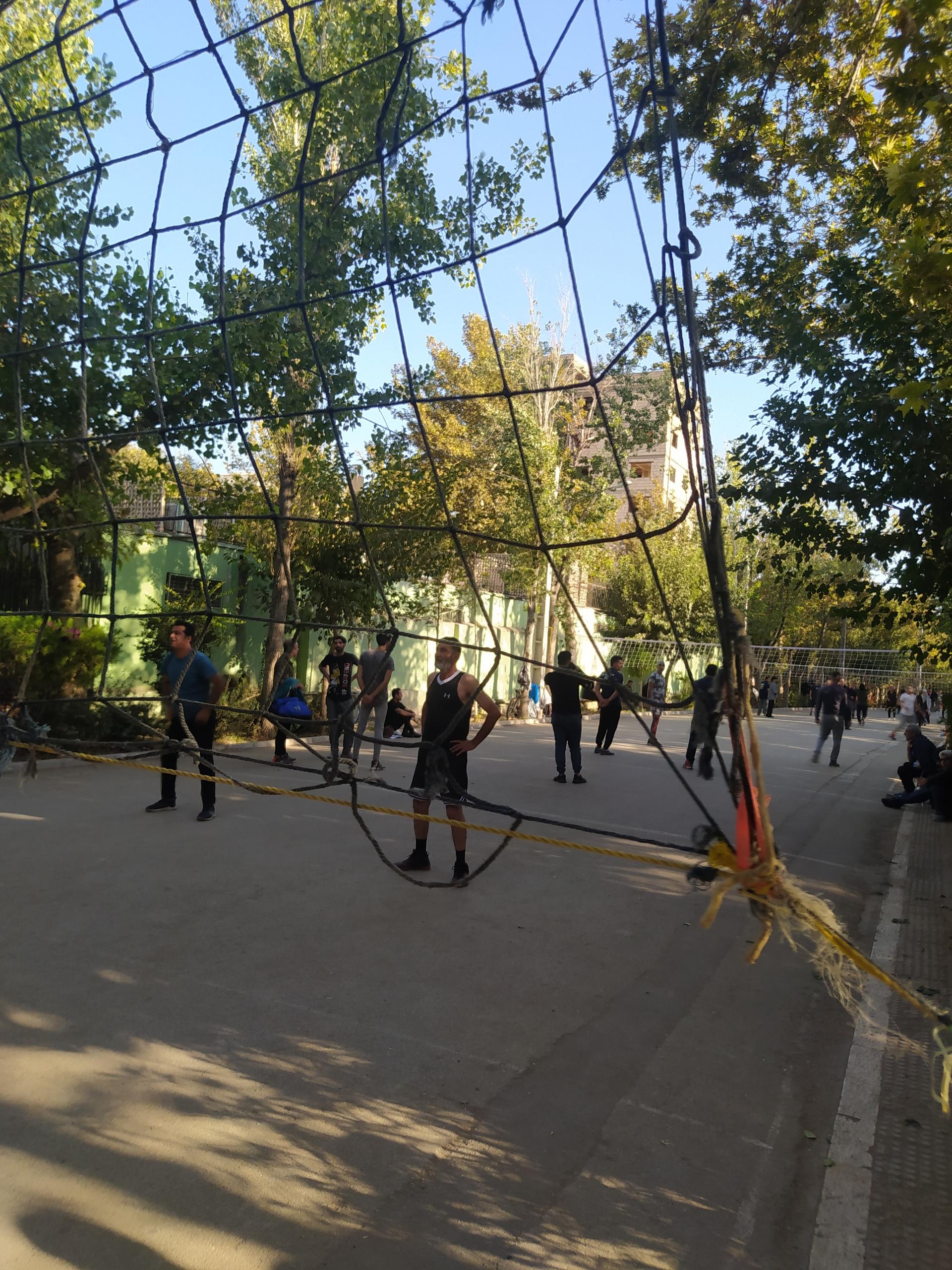 عکس زمین والیبال پارک لاله