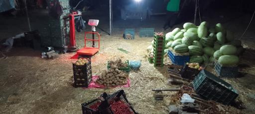 عکس تره بار خدا برکت مهرداد