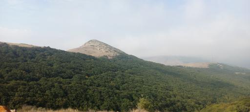 عکس جنگل ابر