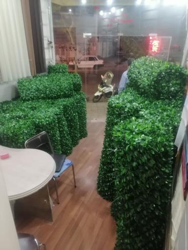 عکس ماهون چمن