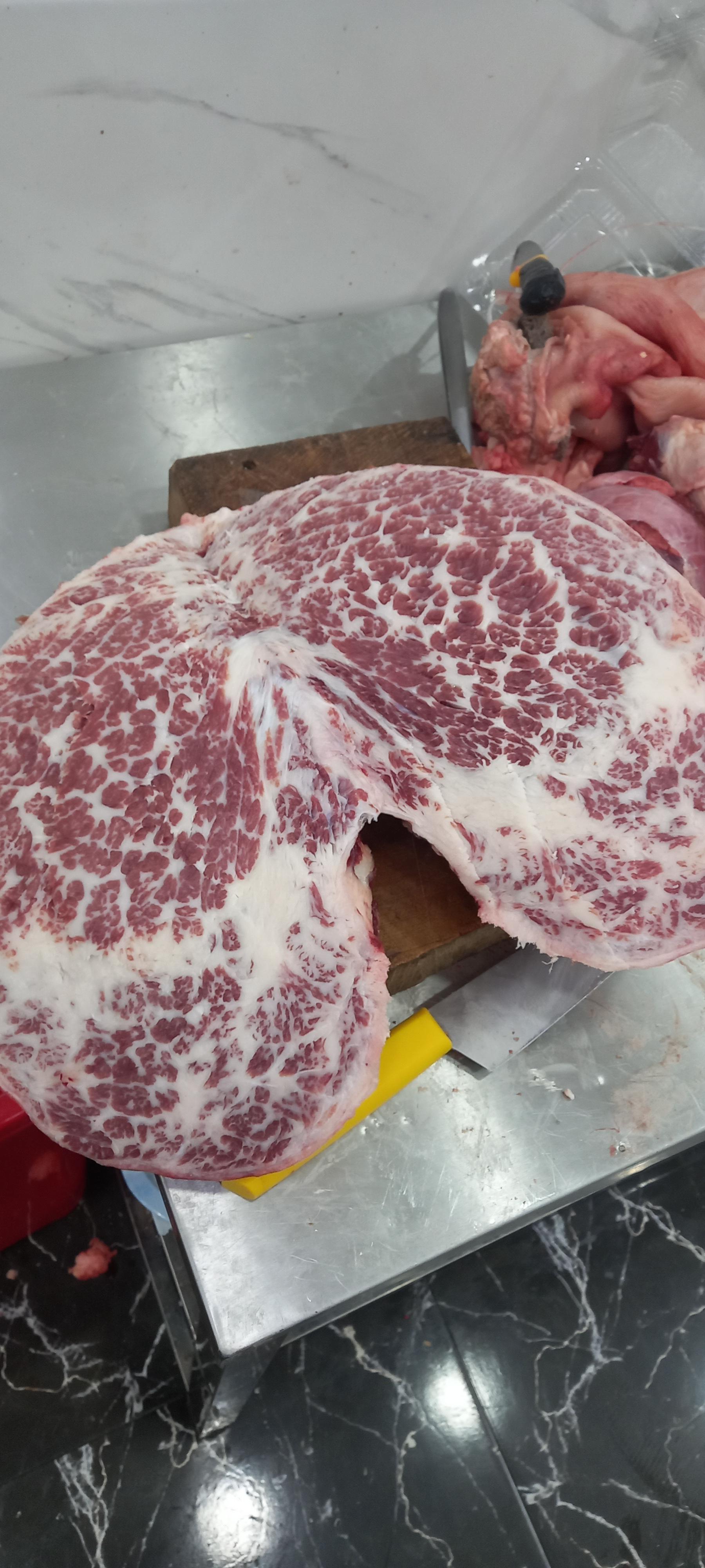 عکس قصابی محراب