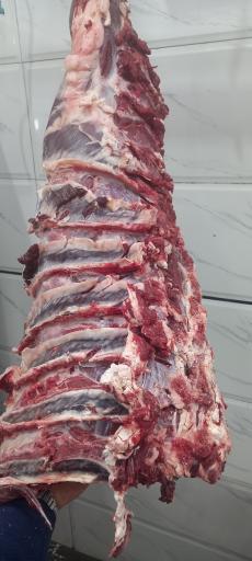 عکس قصابی محراب