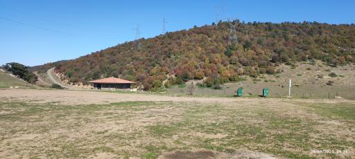 عکس جنگل ابر