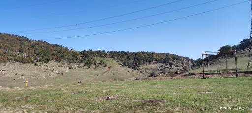 عکس جنگل ابر