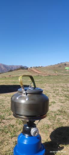 عکس جنگل ابر