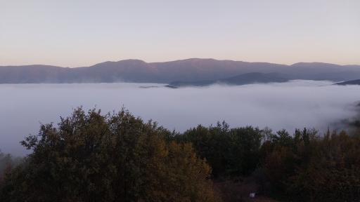 عکس جنگل ابر