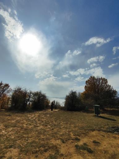 عکس جنگل ابر