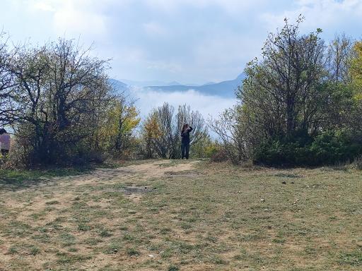 عکس جنگل ابر