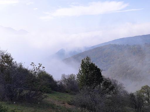 عکس جنگل ابر