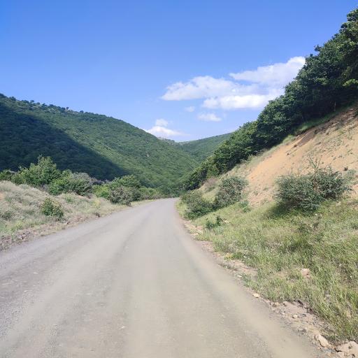 عکس جنگل ابر