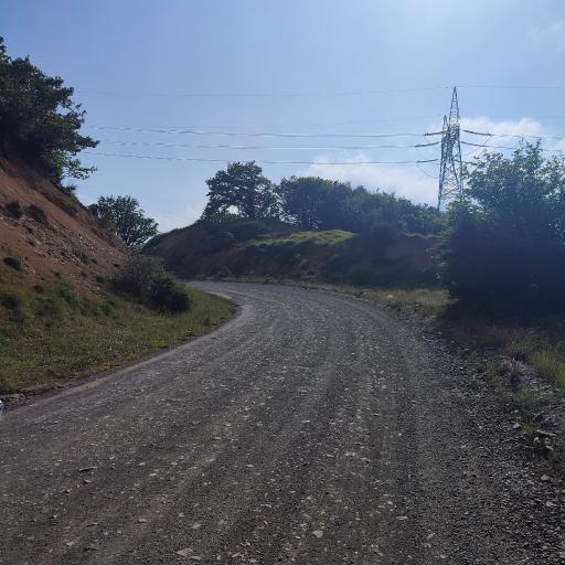 عکس جنگل ابر