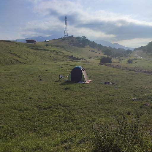 عکس جنگل ابر