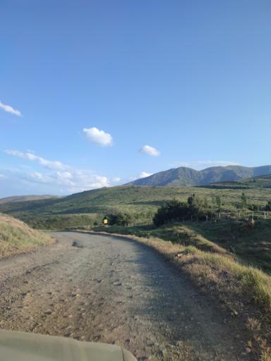 عکس جنگل ابر