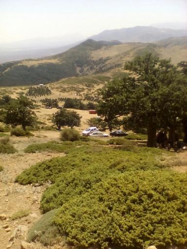 عکس جنگل ابر