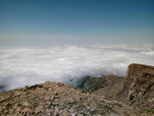 عکس جنگل ابر