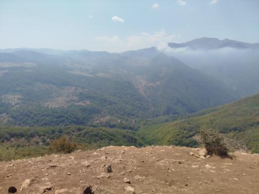 عکس جنگل ابر