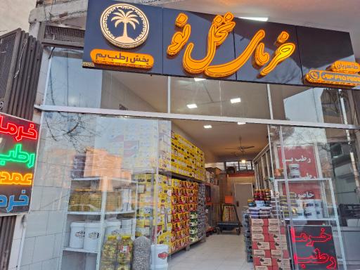 عکس خرمای نخل نو