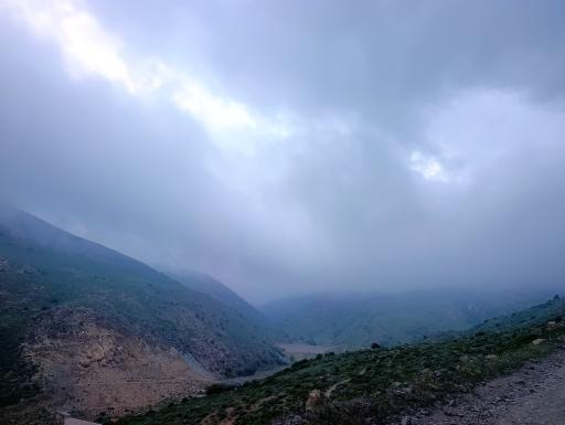 عکس جنگل ابر
