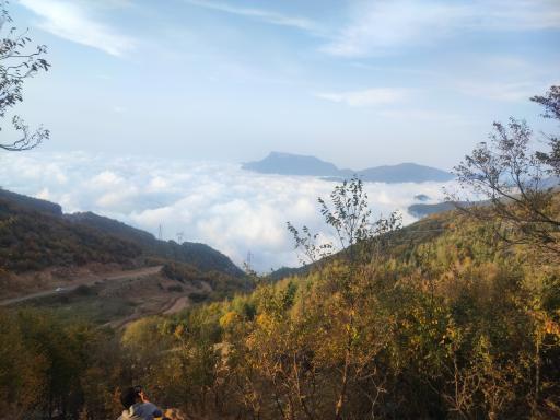 عکس جنگل ابر