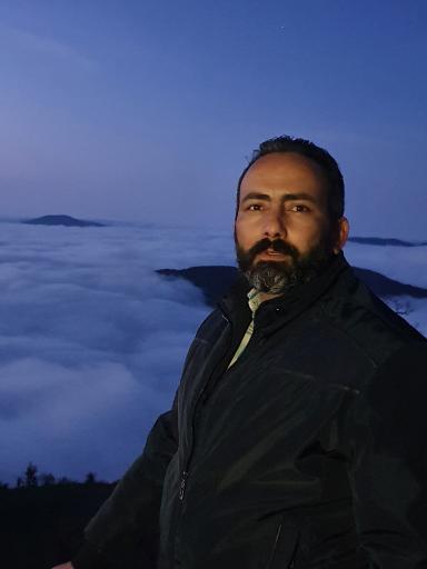 عکس جنگل ابر