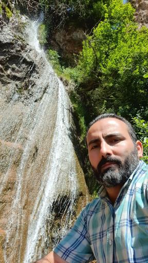 عکس جنگل ابر
