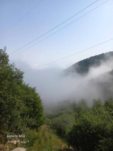 عکس جنگل ابر