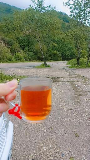 عکس جنگل ابر
