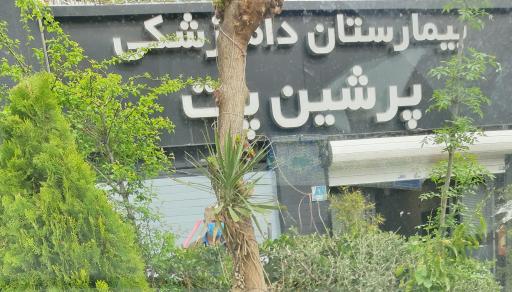 عکس بیمارستان دامپزشکی پرشین پت