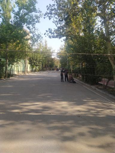 عکس زمین والیبال پارک لاله