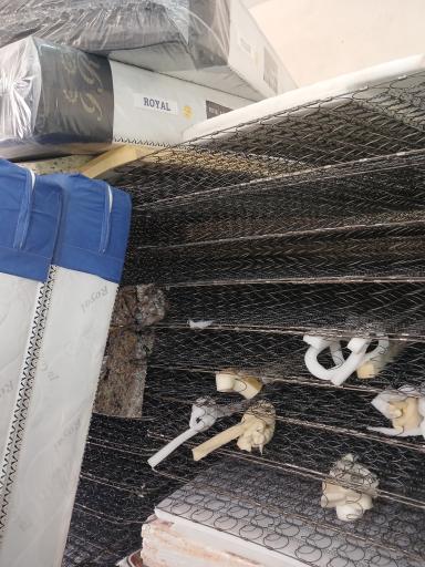 عکس تولیدی تشک رویال