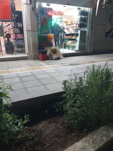 عکس موادغذایی توکل