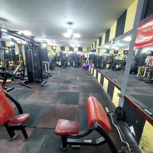 عکس باشگاه آوا