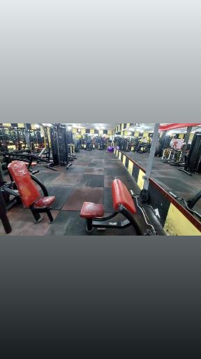 عکس باشگاه آوا