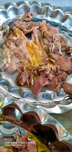 طباخی نبوت
