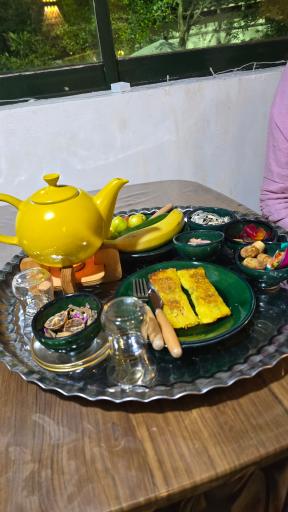 عکس باغ رستوران امی خانه