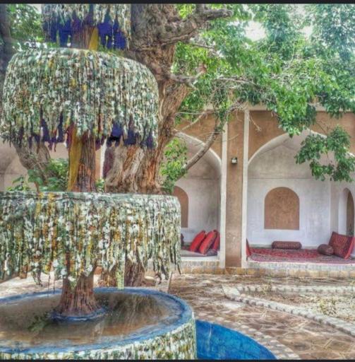 عکس باغسرای سنتی شب های شاهیک قاین