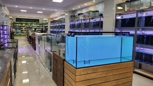 عکس فروشگاه آکواریوم آکوا اِل
