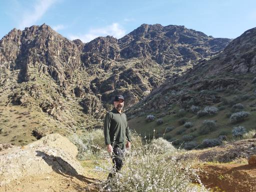 عکس مخمل کوه خرم آباد