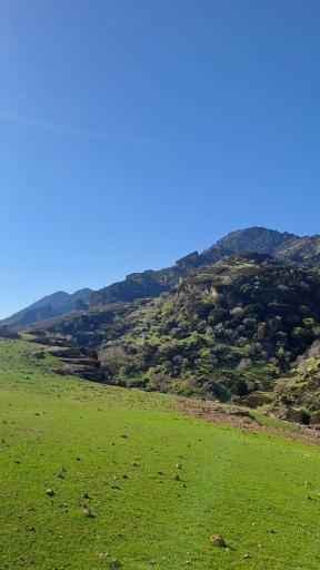 عکس مخمل کوه خرم آباد