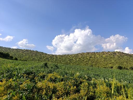 عکس مخمل کوه خرم آباد