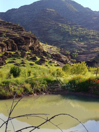 عکس مخمل کوه خرم آباد
