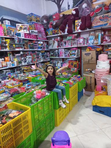 عکس اسباب بازی بیستون