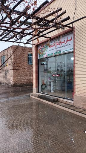 عکس سبزی مارکت نارنج