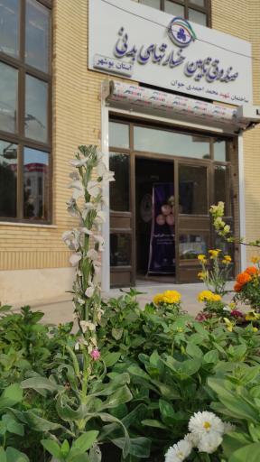 عکس صندوق تأمین خسارت های بدنی شعبه استان بوشهر