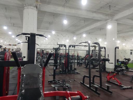 عکس باشگاه بدنسازی آریا