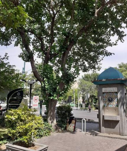 عکس بوستان طالقانی