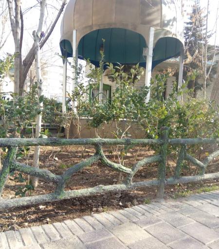 عکس بوستان طالقانی