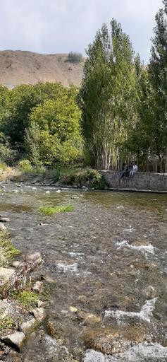 عکس گیوی