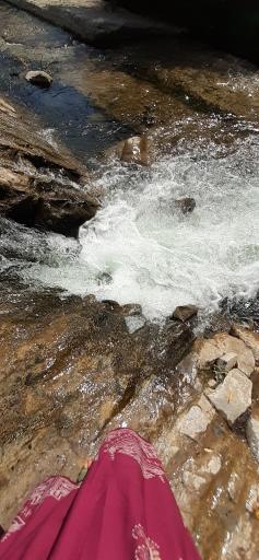عکس گیوی